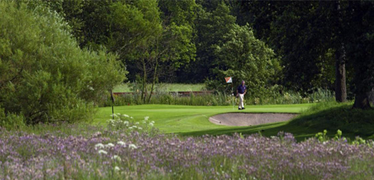 Golfclub Bad Bramstedt e.V.